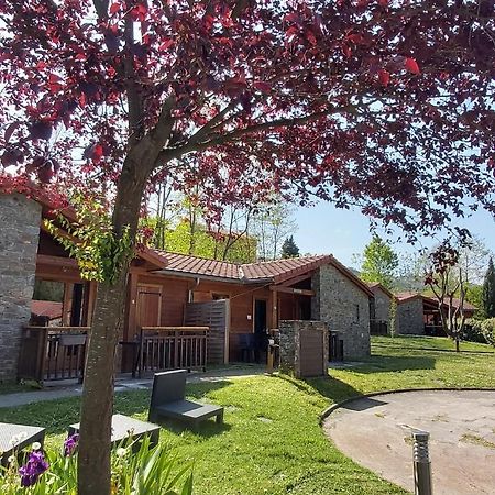 Le Hameau Du Comte De Foix Aparthotel Mercus-Garrabet Exterior photo